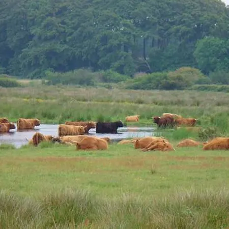 Grosszuegiges In Ostseenaehe Mit Grossem Garten, Ofen Und Sauna Fuer 12 Personen *