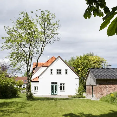 Grosszuegiges In Ostseenaehe Mit Grossem Garten, Ofen Und Sauna Fuer 12 Personen بيت للعطل